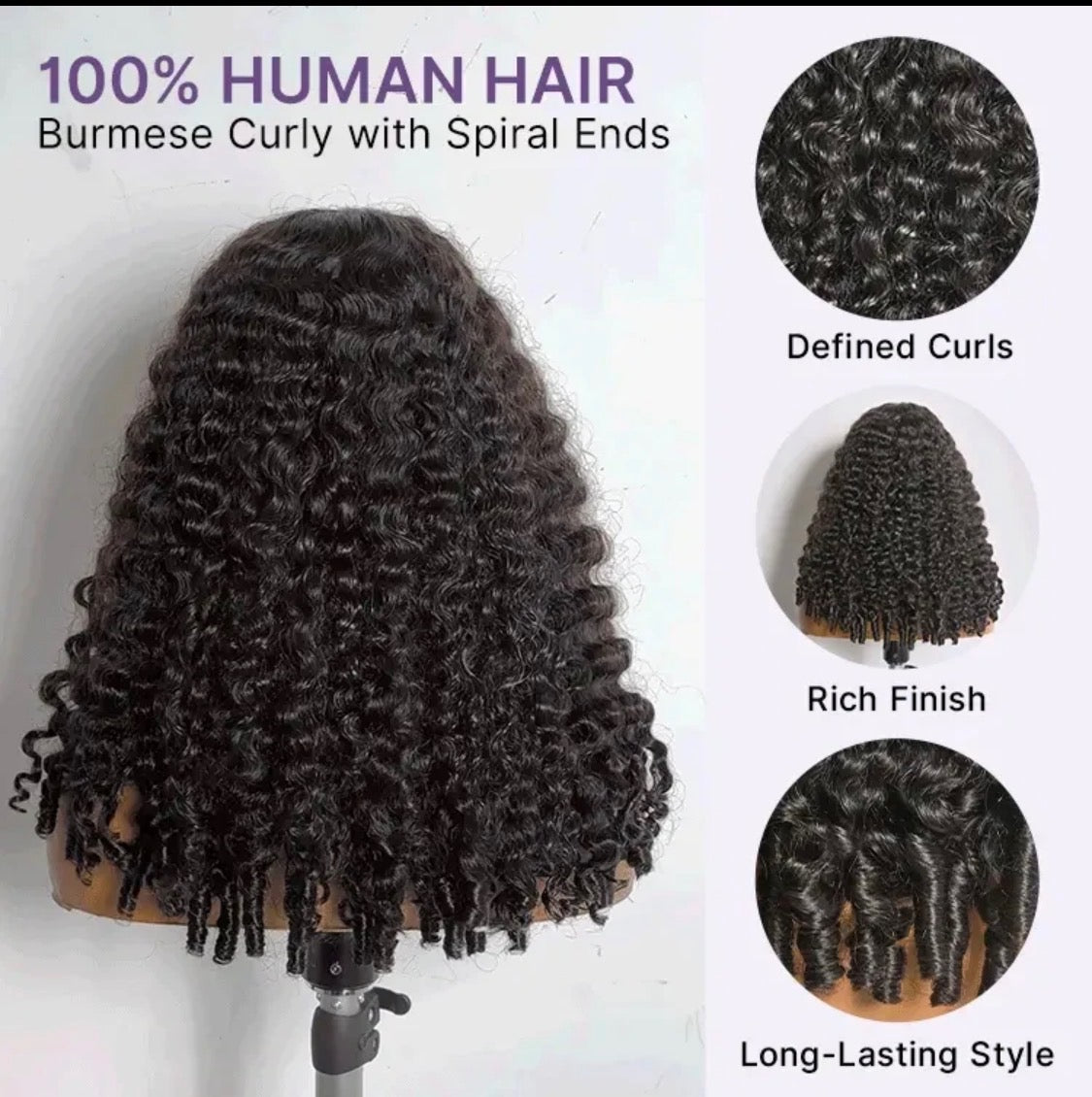 Tyla - Burmese Curly