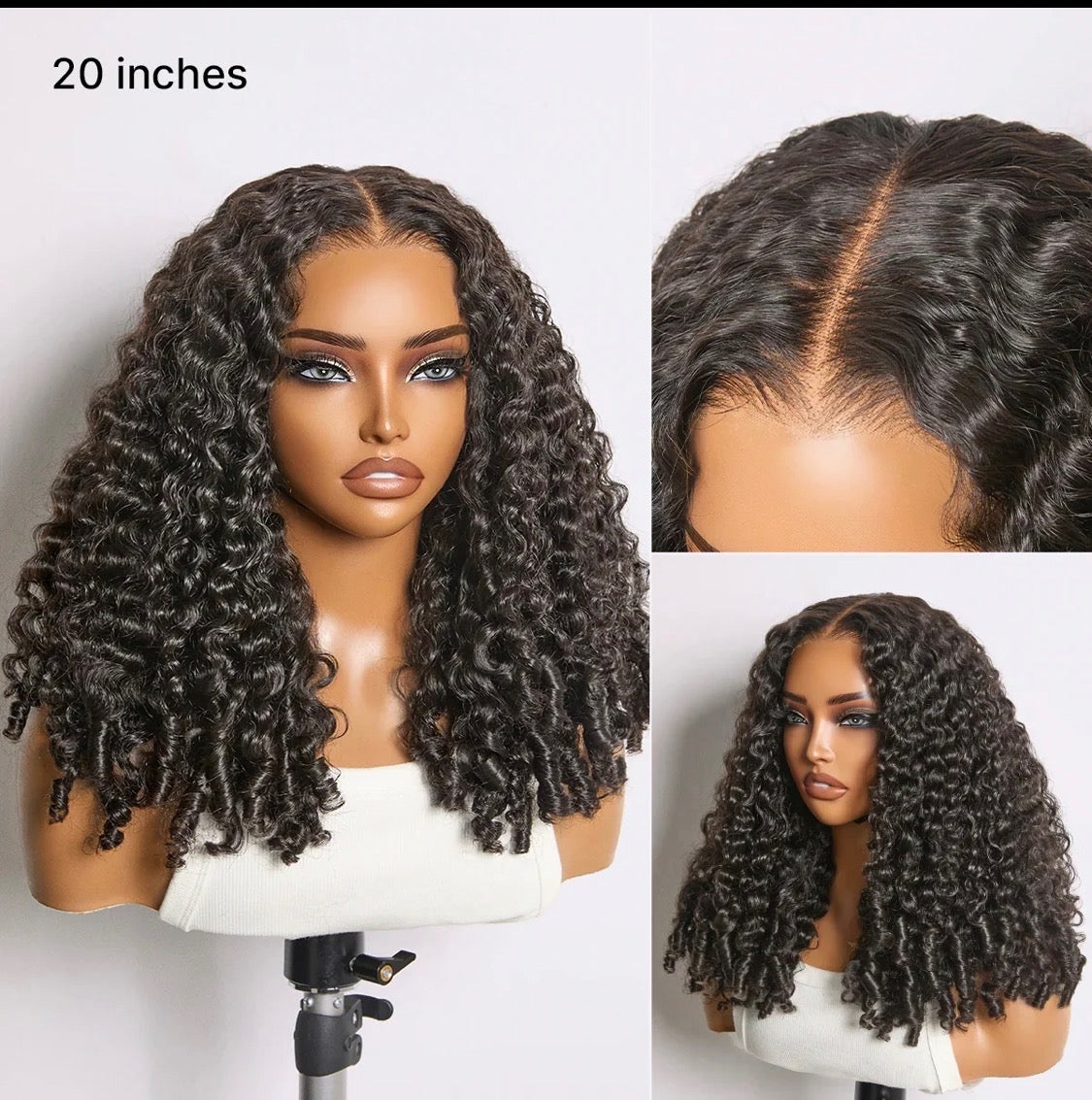 Tyla - Burmese Curly